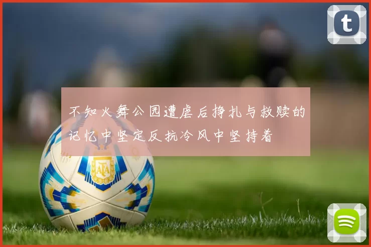 不知火舞公园遭虐后挣扎与救赎的记忆中坚定反抗冷风中坚持着