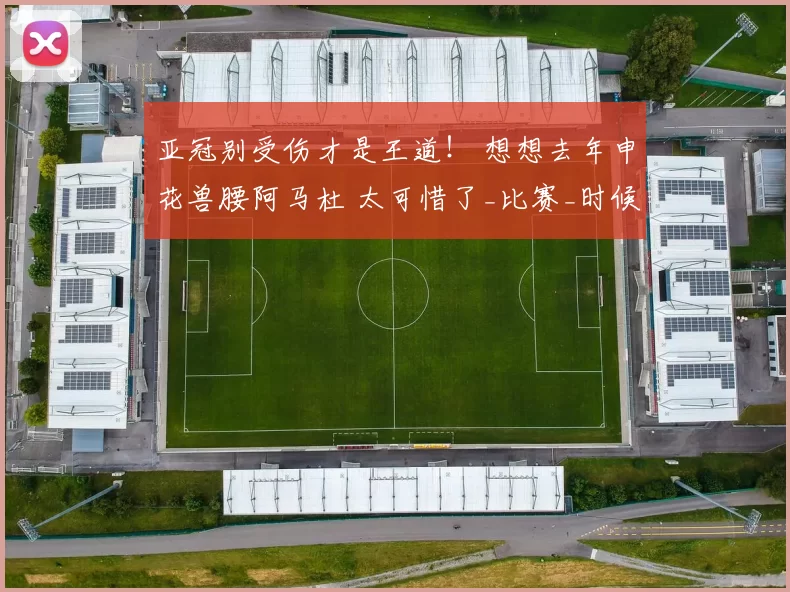 亚冠别受伤才是王道！ 想想去年申花兽腰阿马杜 太可惜了_比赛_时候_锋线