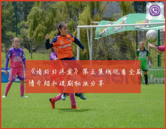 《请好好疼爱》第五集线观看全剧情介绍和追剧秘诀分享